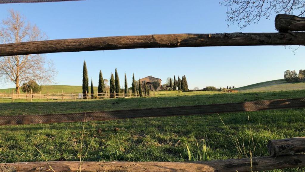 Bed And Breakfast Casale Del Sole คาสเตลลินา มาริตติมา ภายนอก รูปภาพ