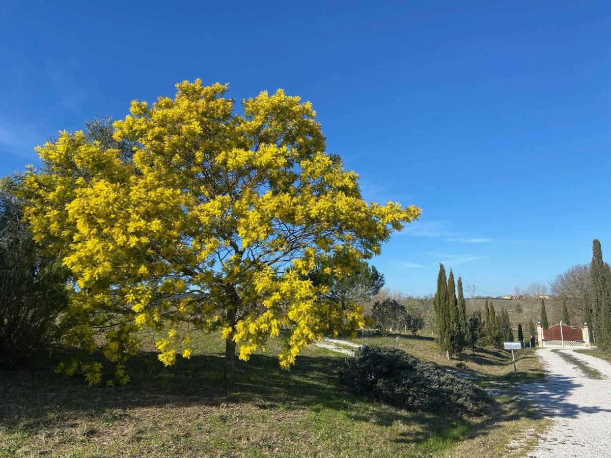 Bed And Breakfast Casale Del Sole คาสเตลลินา มาริตติมา ภายนอก รูปภาพ