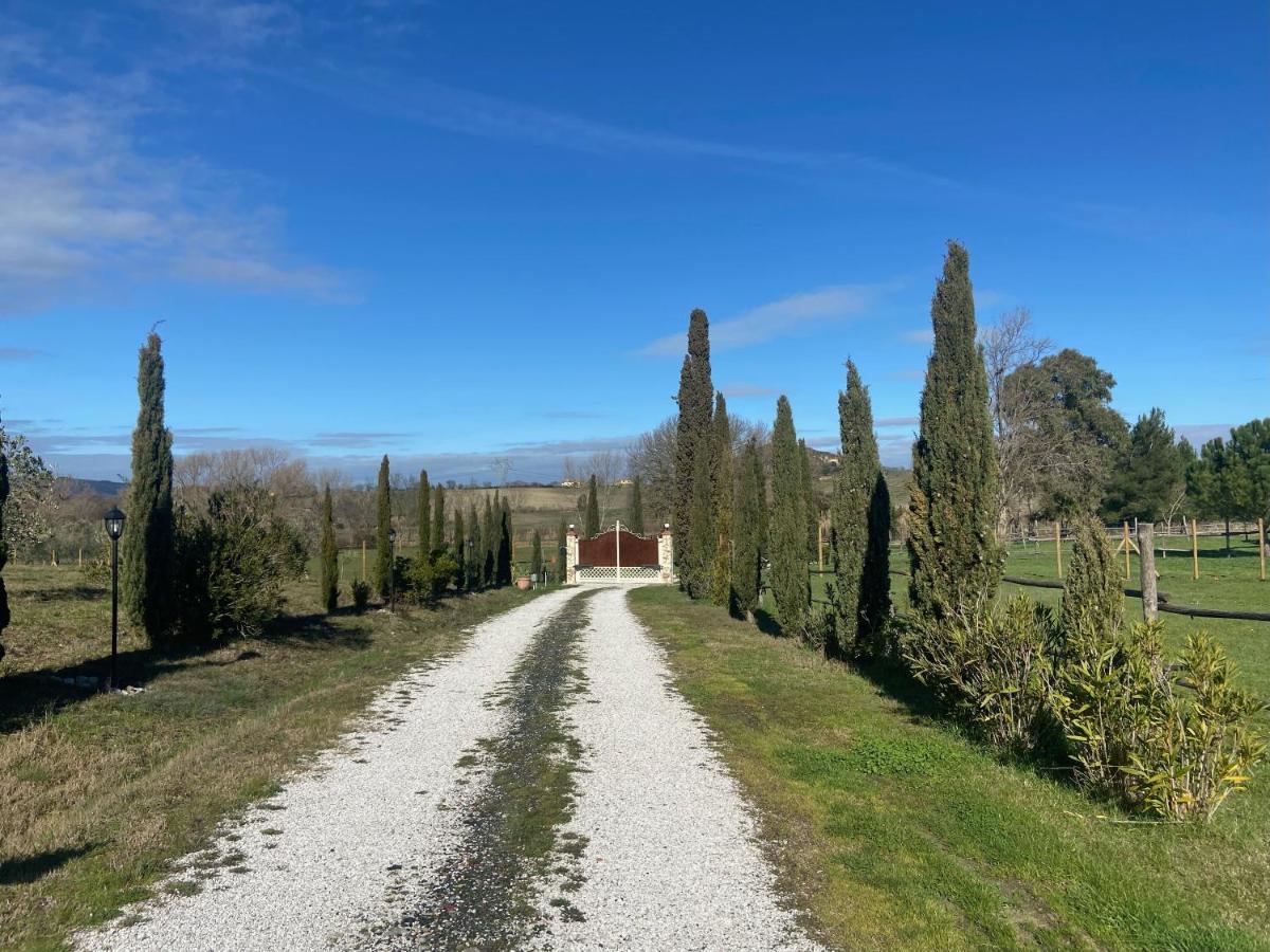 Bed And Breakfast Casale Del Sole คาสเตลลินา มาริตติมา ภายนอก รูปภาพ