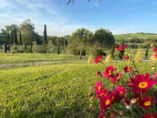 Bed And Breakfast Casale Del Sole คาสเตลลินา มาริตติมา ภายนอก รูปภาพ