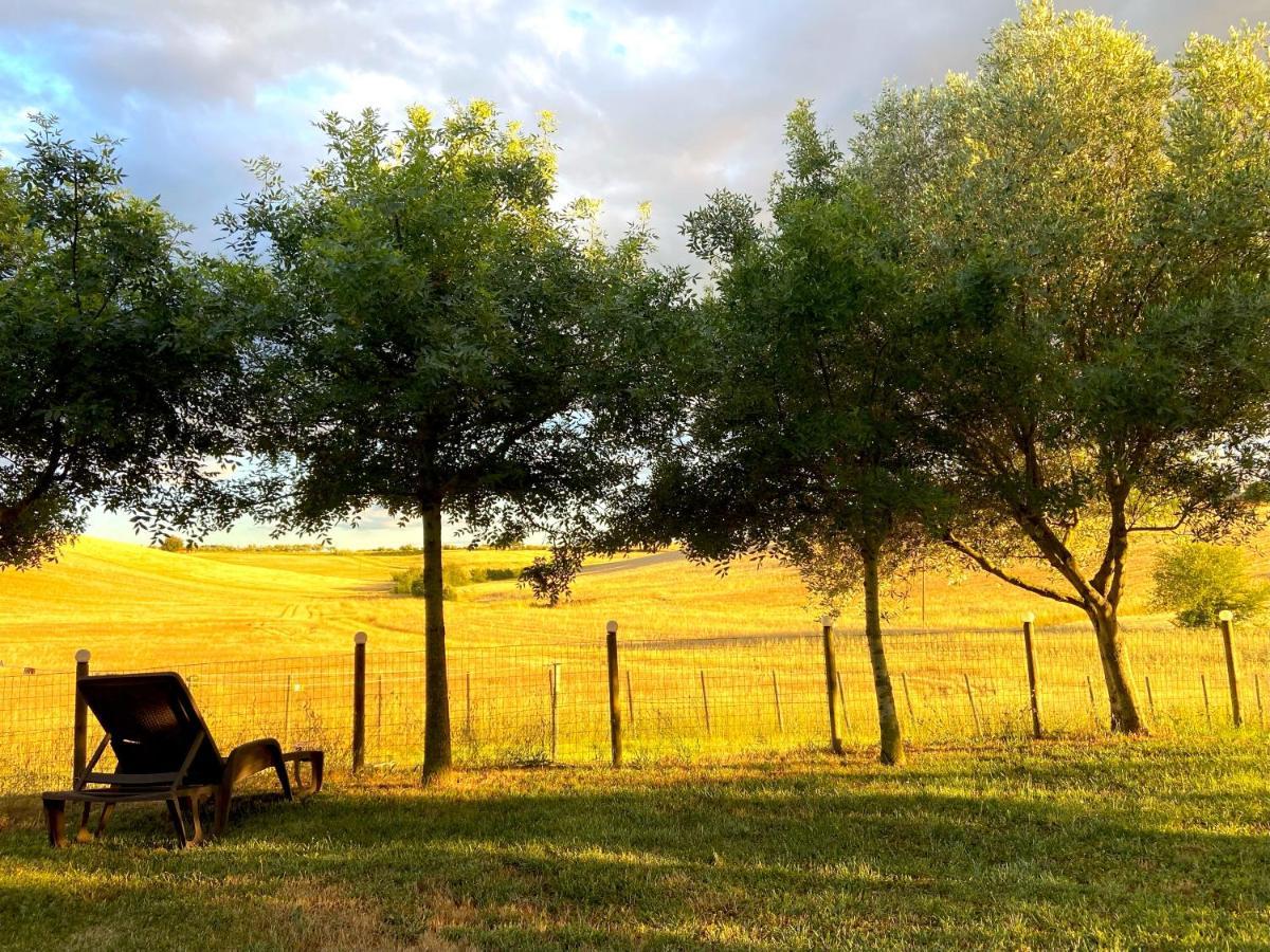 Bed And Breakfast Casale Del Sole คาสเตลลินา มาริตติมา ภายนอก รูปภาพ